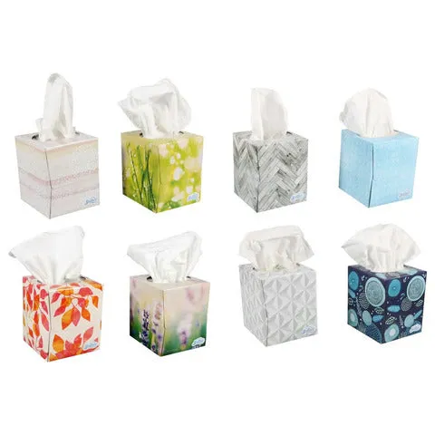 Facial Tissues with Aloe- 6 packs