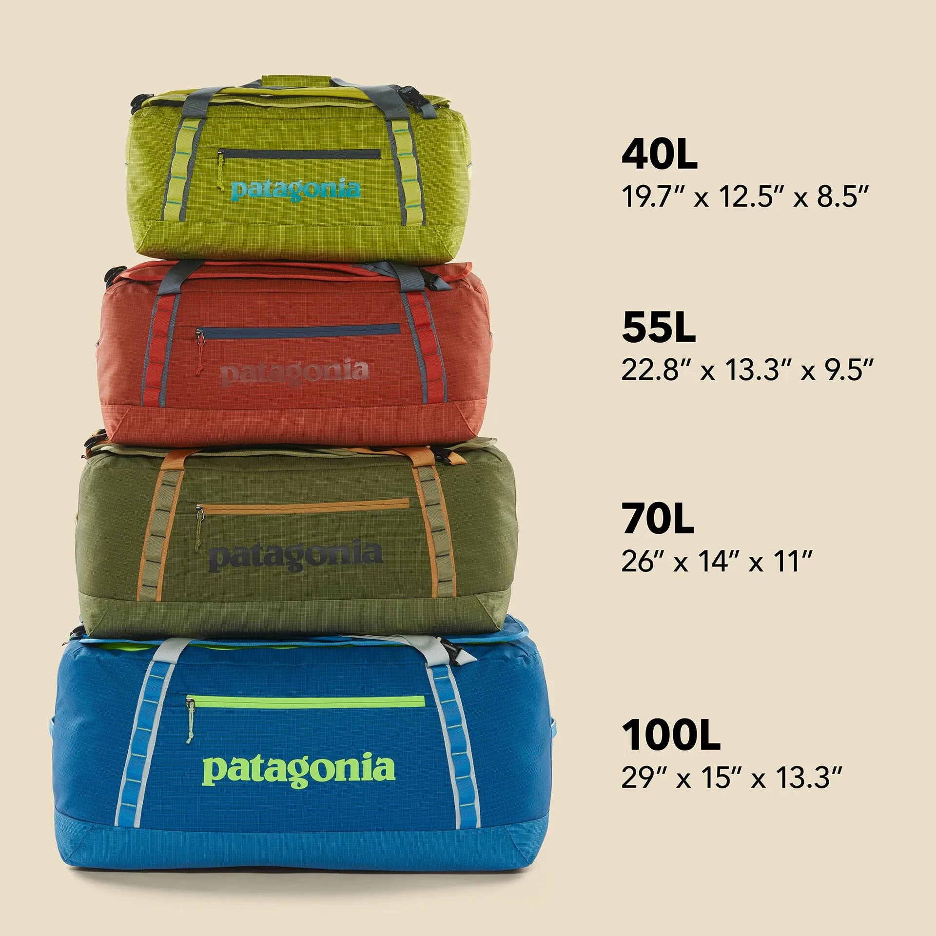 Patagonia Black Hole Duffel 40L